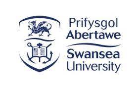 Swansea University